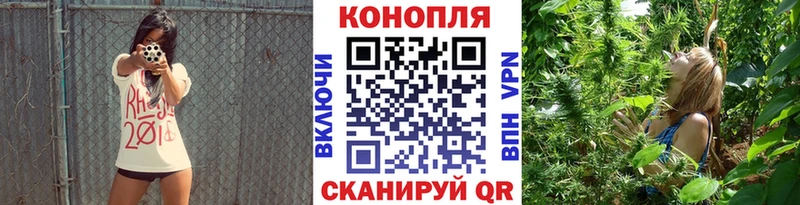 Купить где  Зуевка  Марихуана OG Kush 